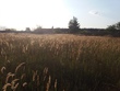 Buy a lot of land, st. Veselaya, Ukraine, Cherkasskie-Tishki, Kharkovskiy district, Lviv region, , 630 000