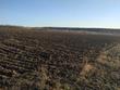 Buy a lot of land, st. Kazatskiy-shlyakh, Ukraine, Merefa, Kharkovskiy district, Lviv region, , 315 000