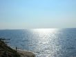Buy a lot of land, Vatutina-ul, Ukraine, Vyshgorod, Vyshgorodskiy district, Lviv region, , 8 770 000