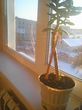 Buy an apartment, st. BKhmelnitskogo, Ukraine, Eskhar, Chuguevskiy district, Lviv region, 2  bedroom, 52 sq.m, 428 000