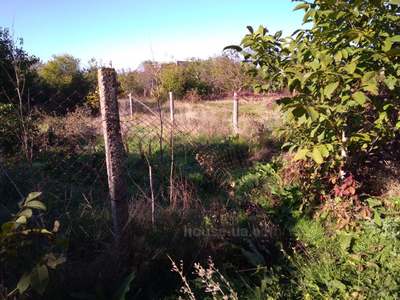 Buy a lot of land, Gardening, рОСТОК, Kalagliya, Ovidiopolskiy district, id 24165
