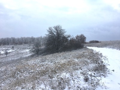 Купити ділянку, Гризодубової вул., Харків, id 125208