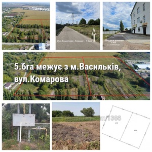 Купити ділянку, Сільськогосподарське, Васильків, Васильківський район, id 59401