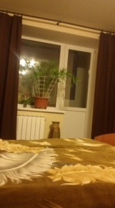 Купити квартиру, Отакара Яроша вул., Харків, id 24505