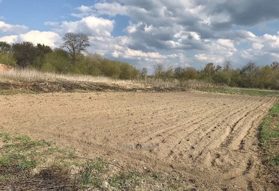 Buy a lot of land, Internacionala-per, Kharkiv, Bolshaya_Danilovka, Kievskiy district, id 126921