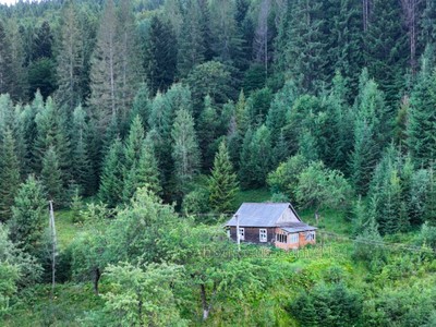 Купити ділянку, Індивідуальне будівництво, урочище Жнець, Татарів, Яремчанська міськрада район, id 64422