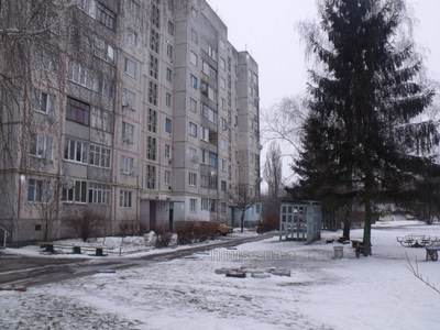 Купити квартиру, Центральная, Центральное, Миронівський район, id 13542