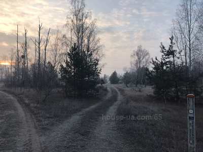 Buy a lot of land, Individual construction, Комсомольская, Voropaev, Vyshgorodskiy district, id 33014
