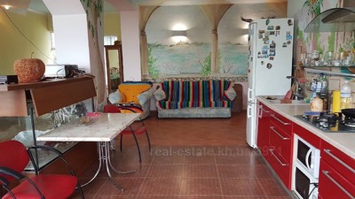 Vacation house, Seminarska-Street, 27, Kharkiv, Holodnogirskiy district, id 123898