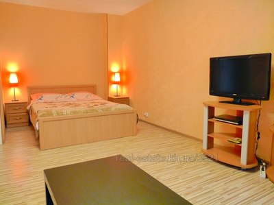 Vacation apartment, Valentinivska, 18, Kharkiv, id 117398