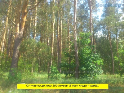 Купити ділянку, Індивідуальне будівництво, свободы, Пилиповичи, Бородянський район, id 6935