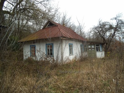 Купити будинок, Будинок, Лесная, Улашовка, Таращанський район, id 11673