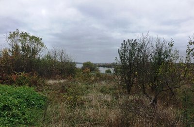 Buy a lot of land, Бобровка, Bobrovka, Kharkovskiy district, Kharkivska, id 126256