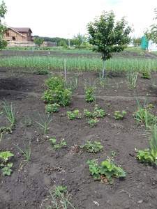 Buy a lot of land, Bobrovka, Kharkovskiy district, Kharkivska, id 121927