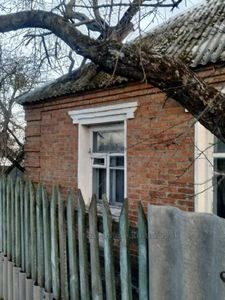 Купить дом, Юність, Гуты, Богодуховский район, id 139800
