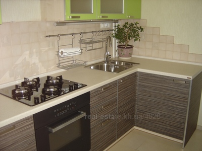 Vacation apartment, Czekh, Cholodnohirska, 10, Kharkiv, id 122643