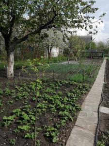 Купити ділянку, Садівництво, Гайок ул., Біла Церква, Білоцерківський район, id 38831