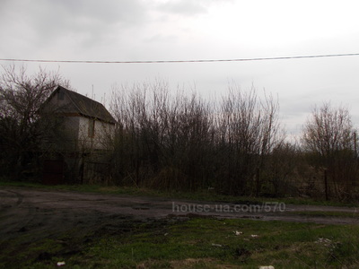 Buy a lot of land, Individual construction, Яблоневая, Cirkuny, Kharkovskiy district, id 7225