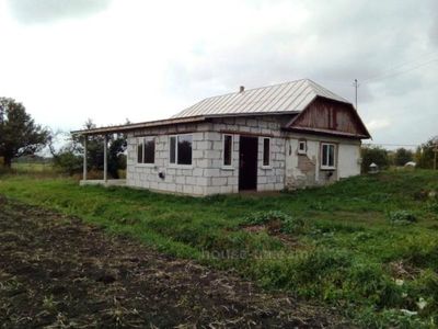 Купити будинок, Будинок, Улица, Романівка, Брусилівський район район, id 19604