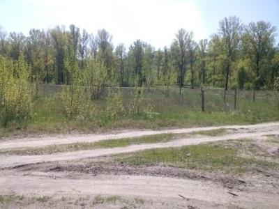 Buy a lot of land, Башкировка, Chuguev, Chuguevskiy district, Kharkivska, id 123701