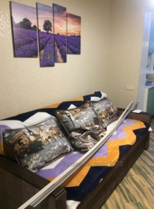 Rent an apartment, Celinogradskaya-ul, Kharkiv, id 47656