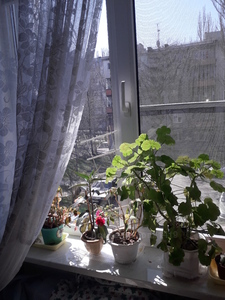 Купити квартиру, Хрущівка, Комарова ул. (Комунарский), 23, Запоріжжя, id 17257