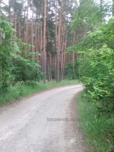 Купити будинок, Сухолесы, Білоцерківський район, id 45573