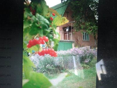 Купити будинок, Будинок, Родникова, Бирюки, Рокитнянський район, id 38244