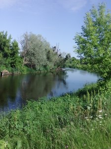 Купити будинок, Сухолесы, Білоцерківський район, id 41062